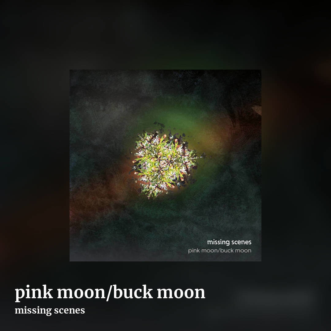 pink moon/buck moon by missing scenes, square clean share image