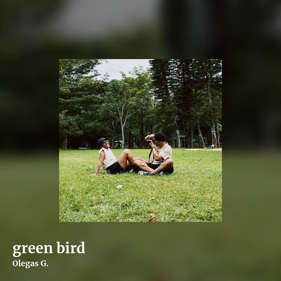 green bird by Olegas G., square clean share image