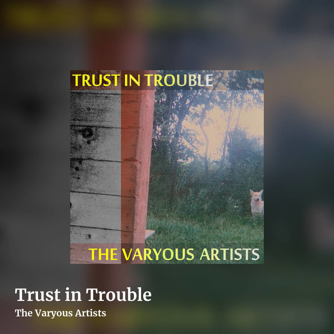 Trust in Trouble by The Varyous Artists, square clean share image