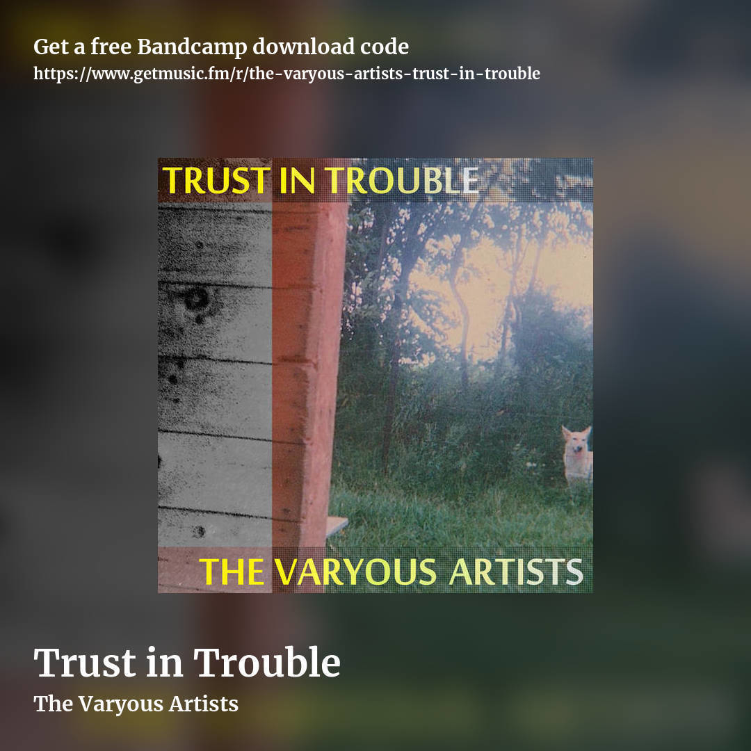 Trust in Trouble by The Varyous Artists, square promo share image