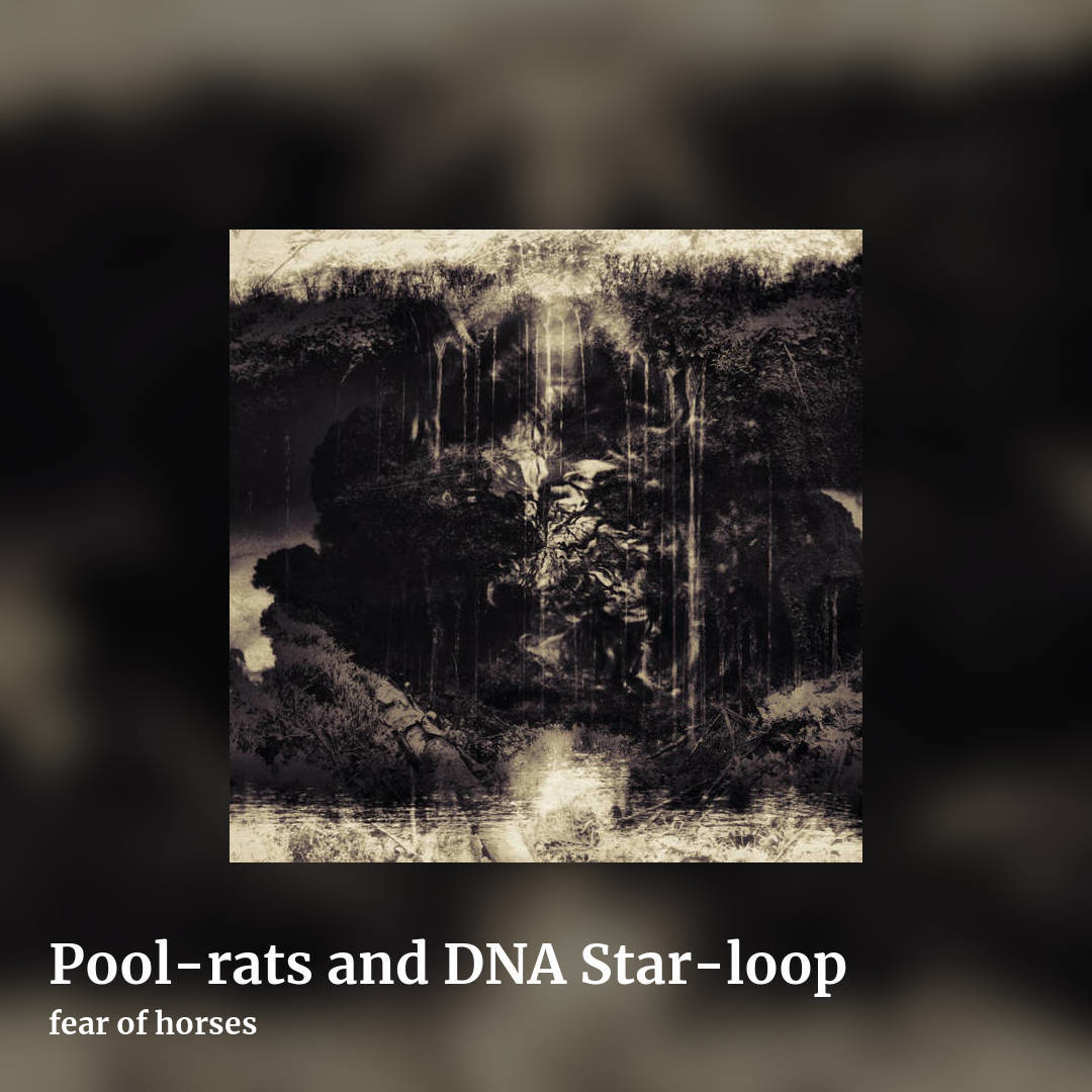 Pool-rats and DNA Star-loop by fear of horses, square clean share image
