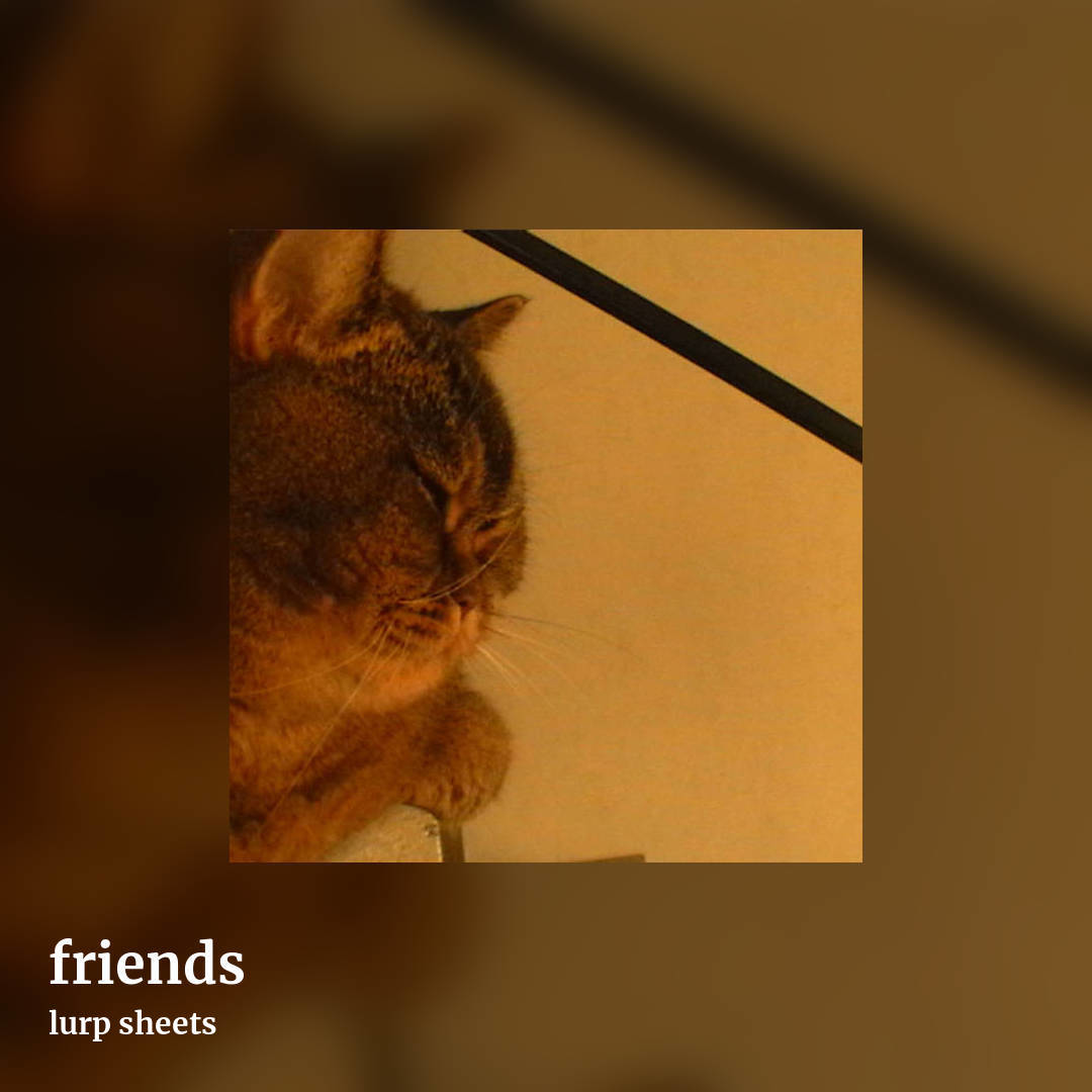 friends by lurp sheets, square clean share image