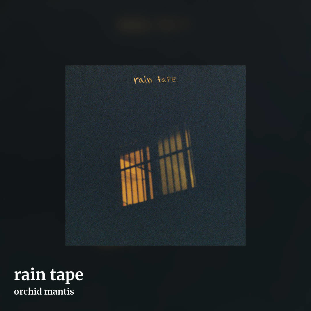 rain tape by orchid mantis, square clean share image