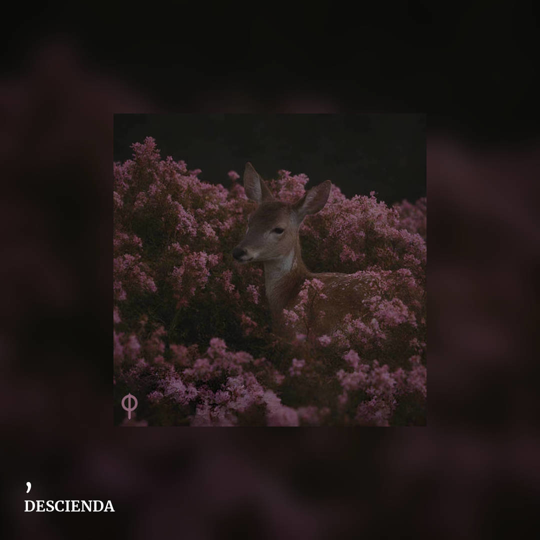 , by DESCIENDA, square clean share image