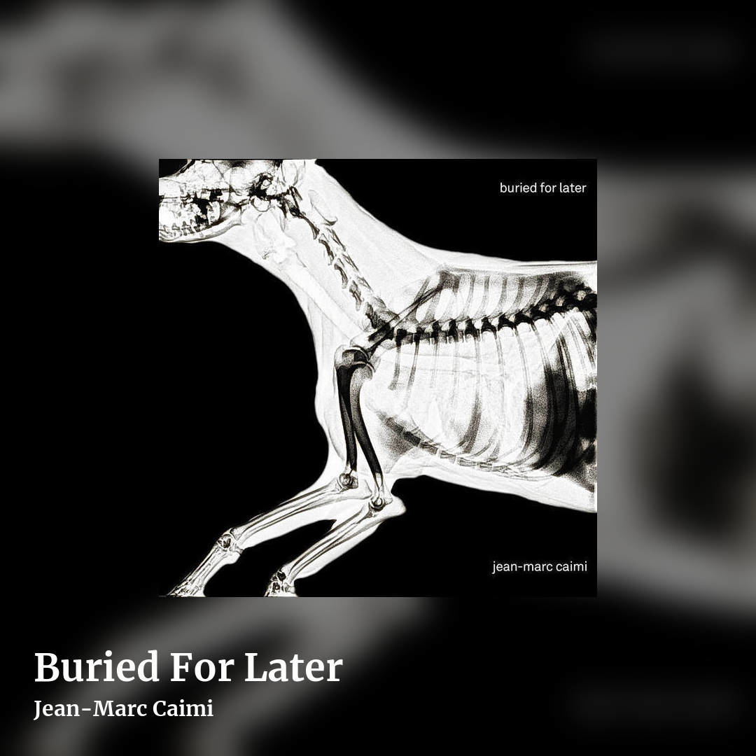 Buried For Later by Jean-Marc Caimi, square clean share image