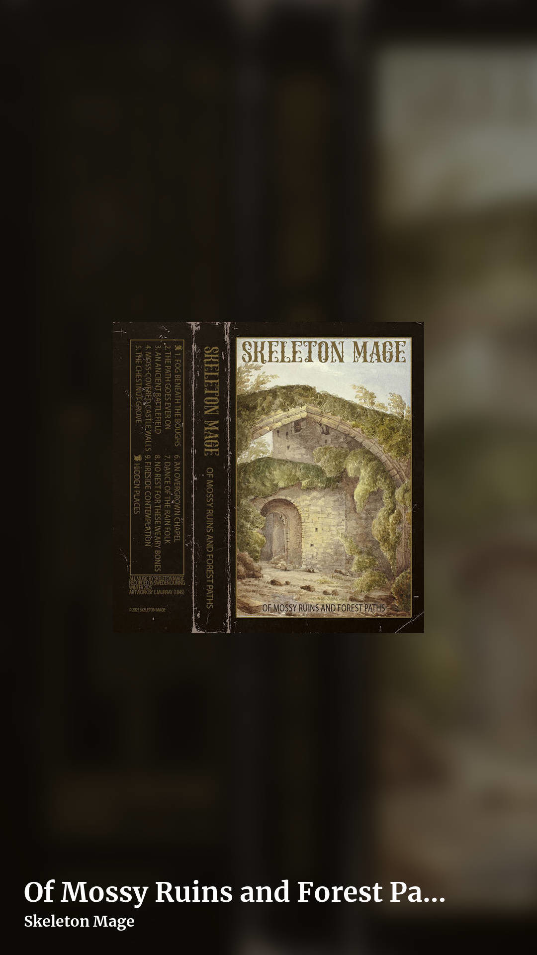 Of Mossy Ruins and Forest Paths by Skeleton Mage, story clean share image