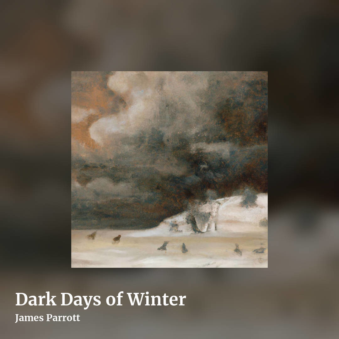 Dark Days of Winter by James Parrott, square clean share image