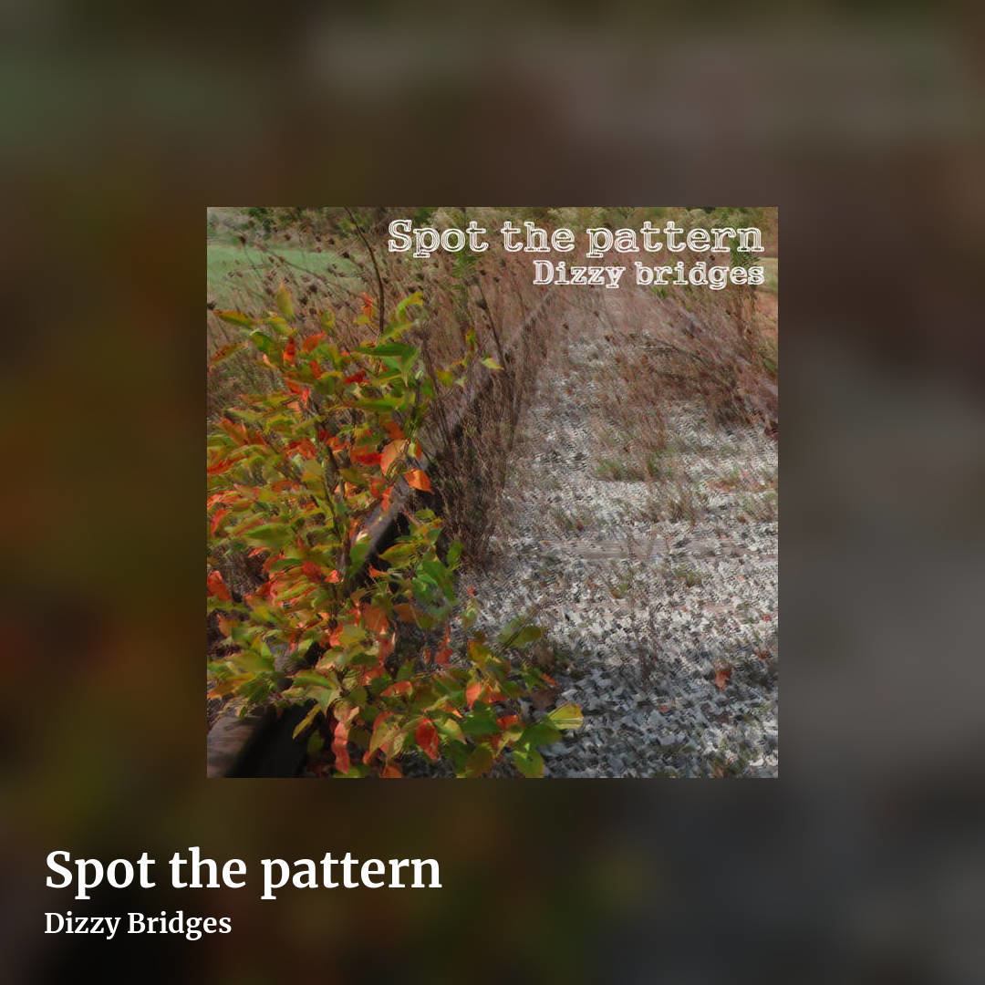 Spot the pattern by Dizzy Bridges, square clean share image