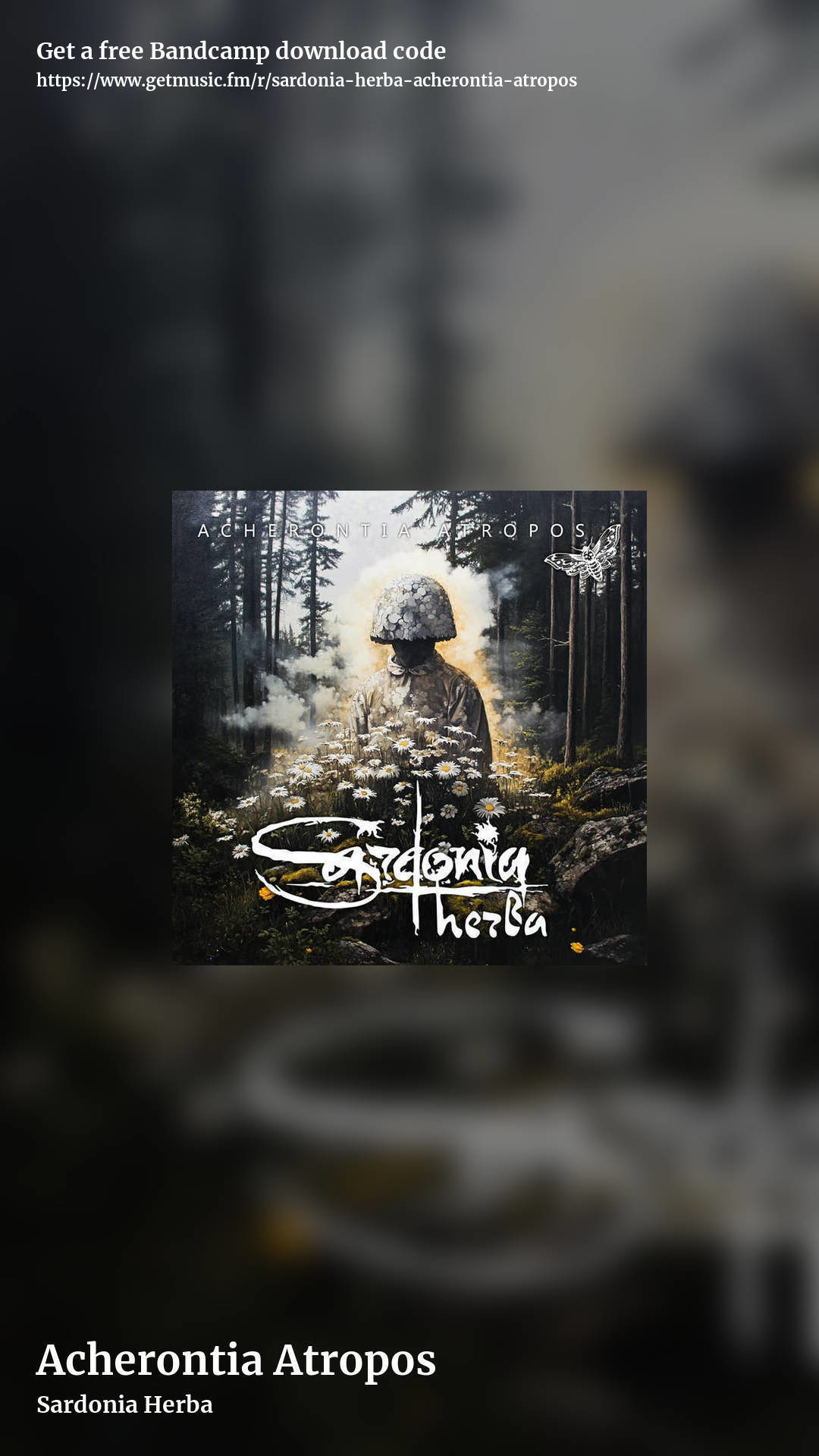 Acherontia Atropos by Sardonia Herba, story promo share image