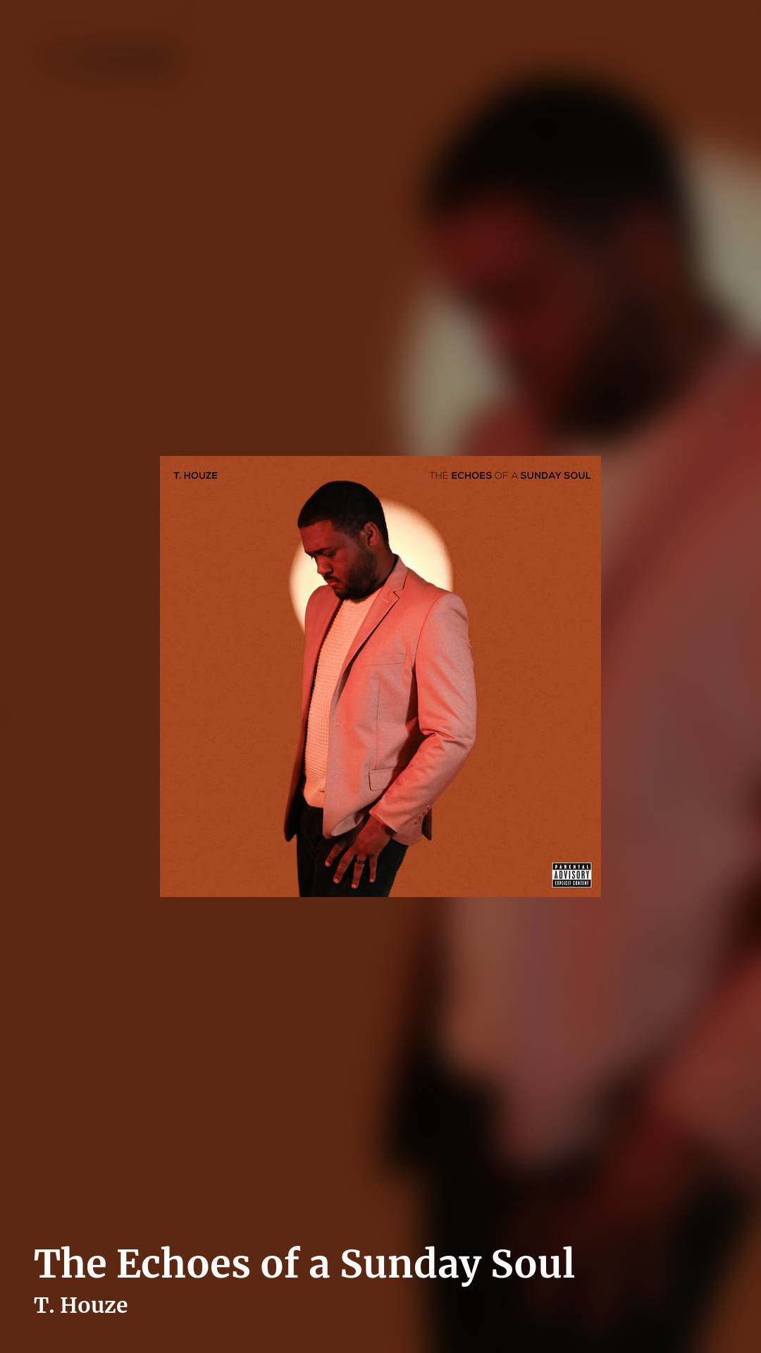 The Echoes of a Sunday Soul by T. Houze, story clean share image