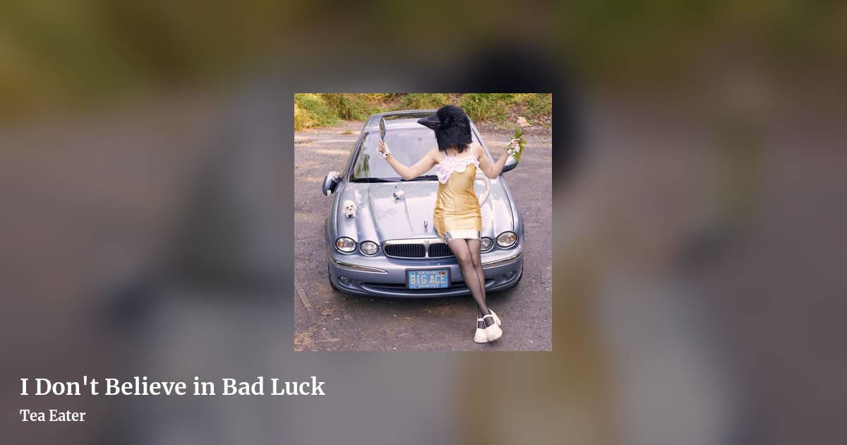 I Don't Believe in Bad Luck by Tea Eater, landscape clean share image