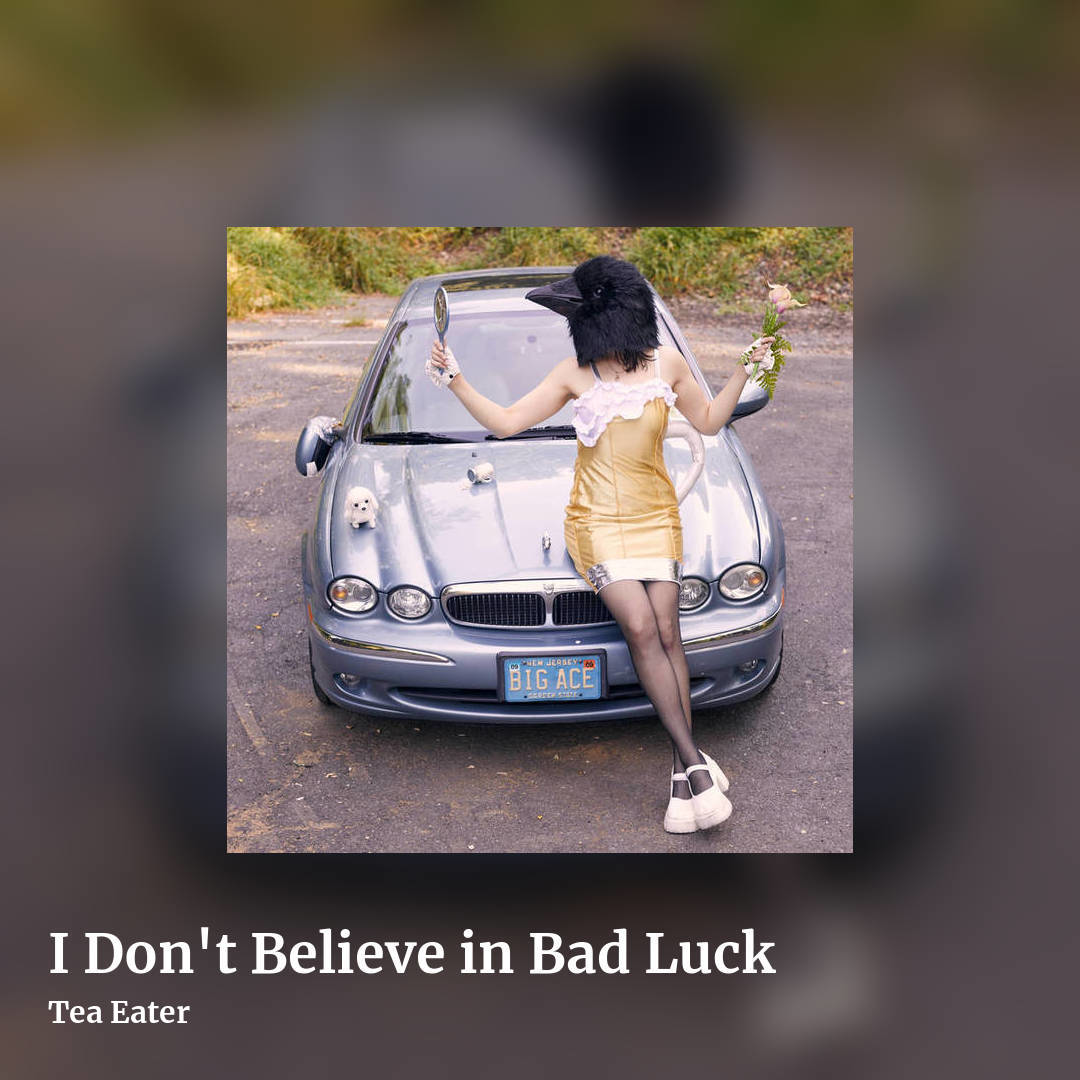 I Don't Believe in Bad Luck by Tea Eater, square clean share image