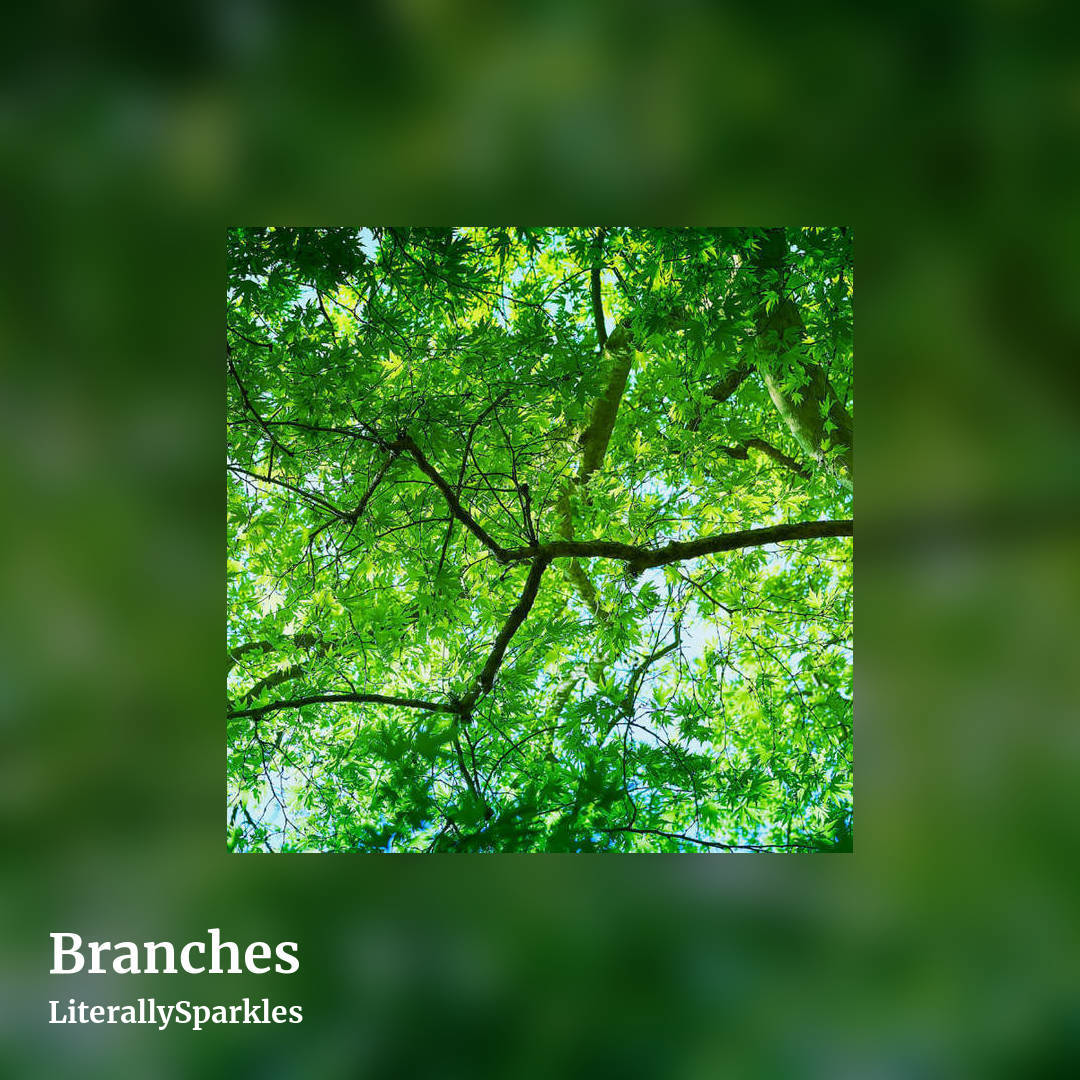 Branches by LiterallySparkles, square clean share image
