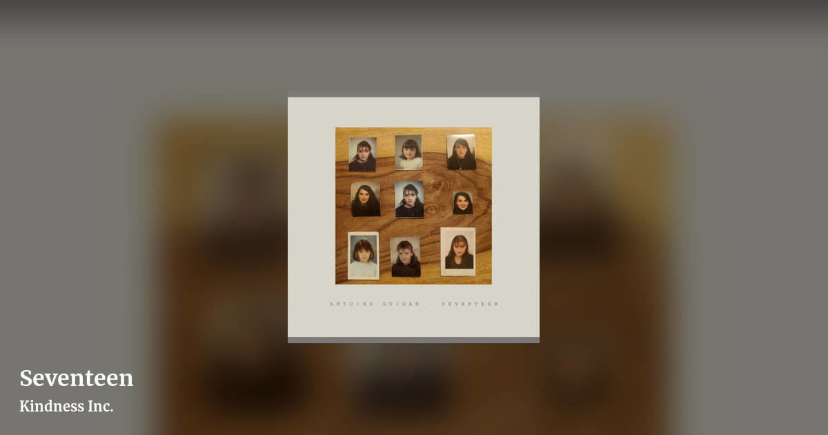 Seventeen by Kindness Inc., landscape clean share image
