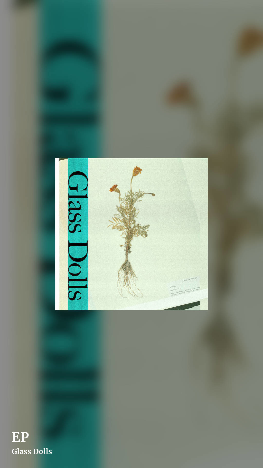 EP by Glass Dolls, story clean share image