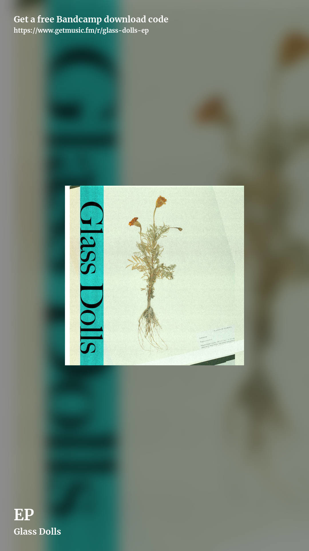 EP by Glass Dolls, story promo share image