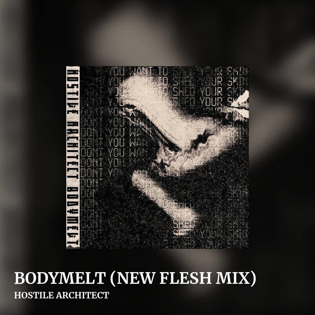 BODYMELT (NEW FLESH MIX) by HOSTILE ARCHITECT, square clean share image