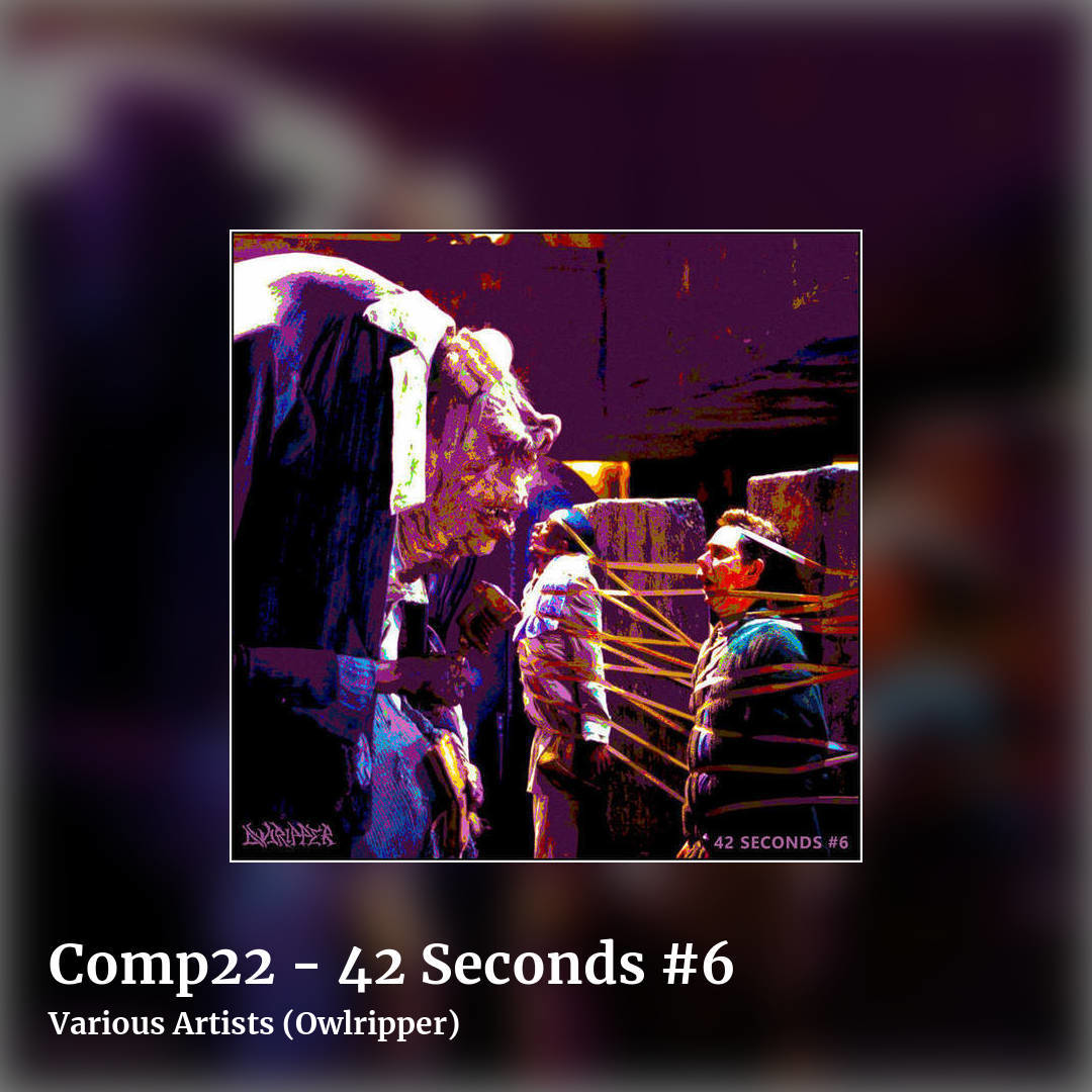 Comp22 - 42 Seconds #6 by Various Artists (Owlripper), square clean share image