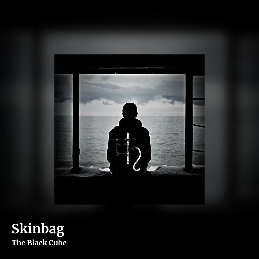 Skinbag by The Black Cube, square clean share image