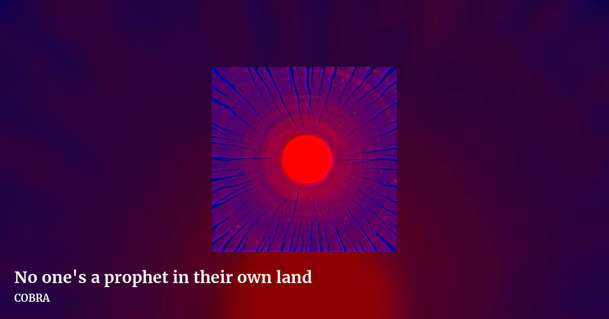 No one's a prophet in their own land by COBRA, landscape clean share image