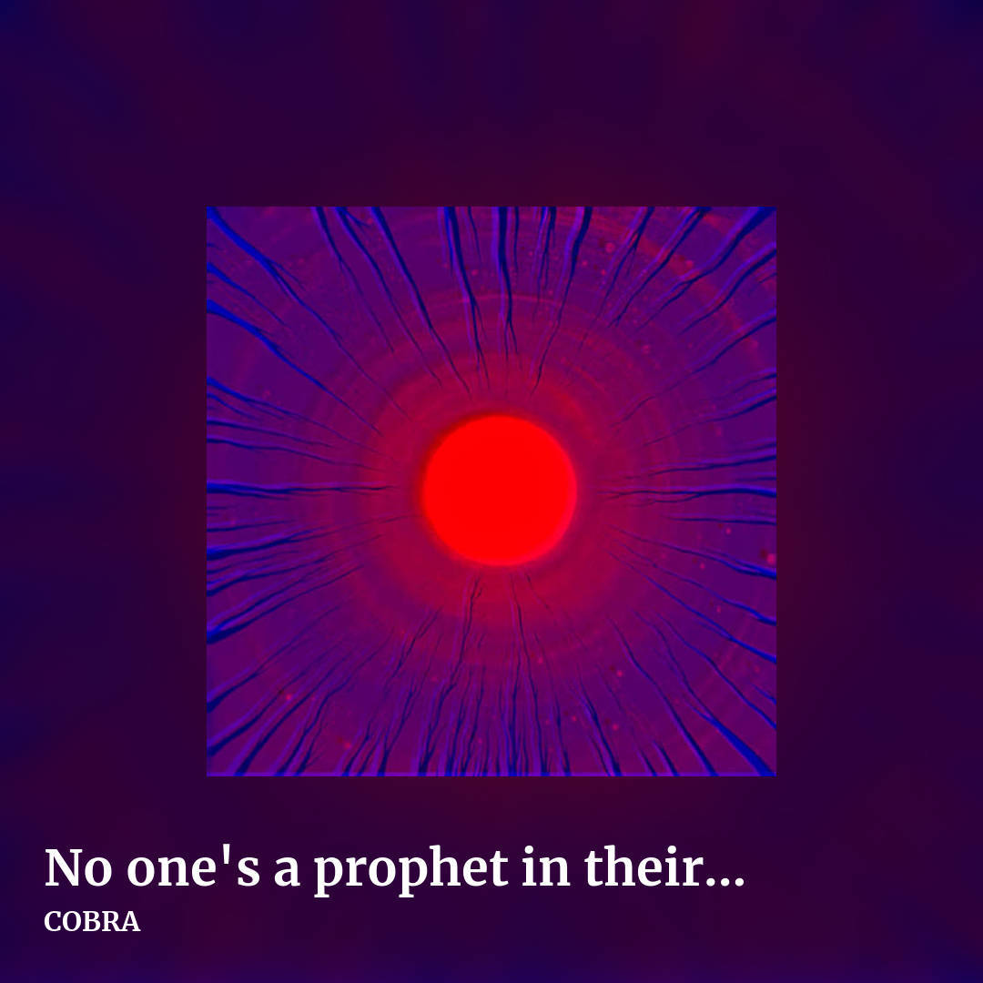 No one's a prophet in their own land by COBRA, square clean share image