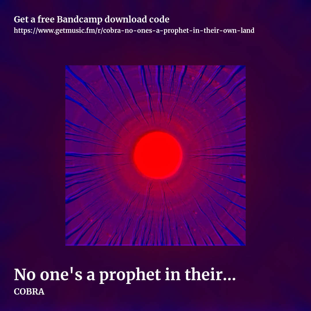 No one's a prophet in their own land by COBRA, square promo share image