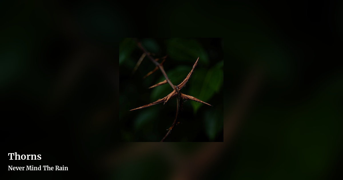 Thorns by Never Mind The Rain, landscape clean share image