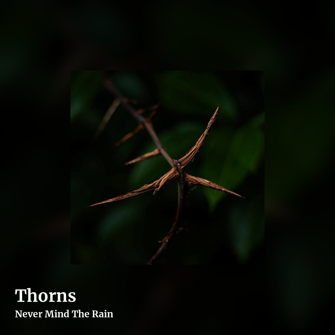 Thorns by Never Mind The Rain, square clean share image