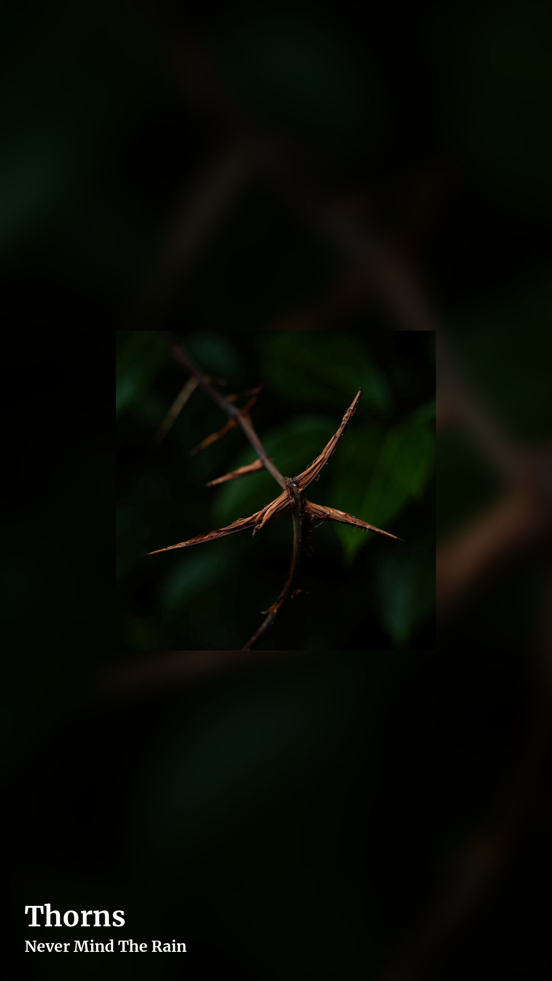 Thorns by Never Mind The Rain, story clean share image