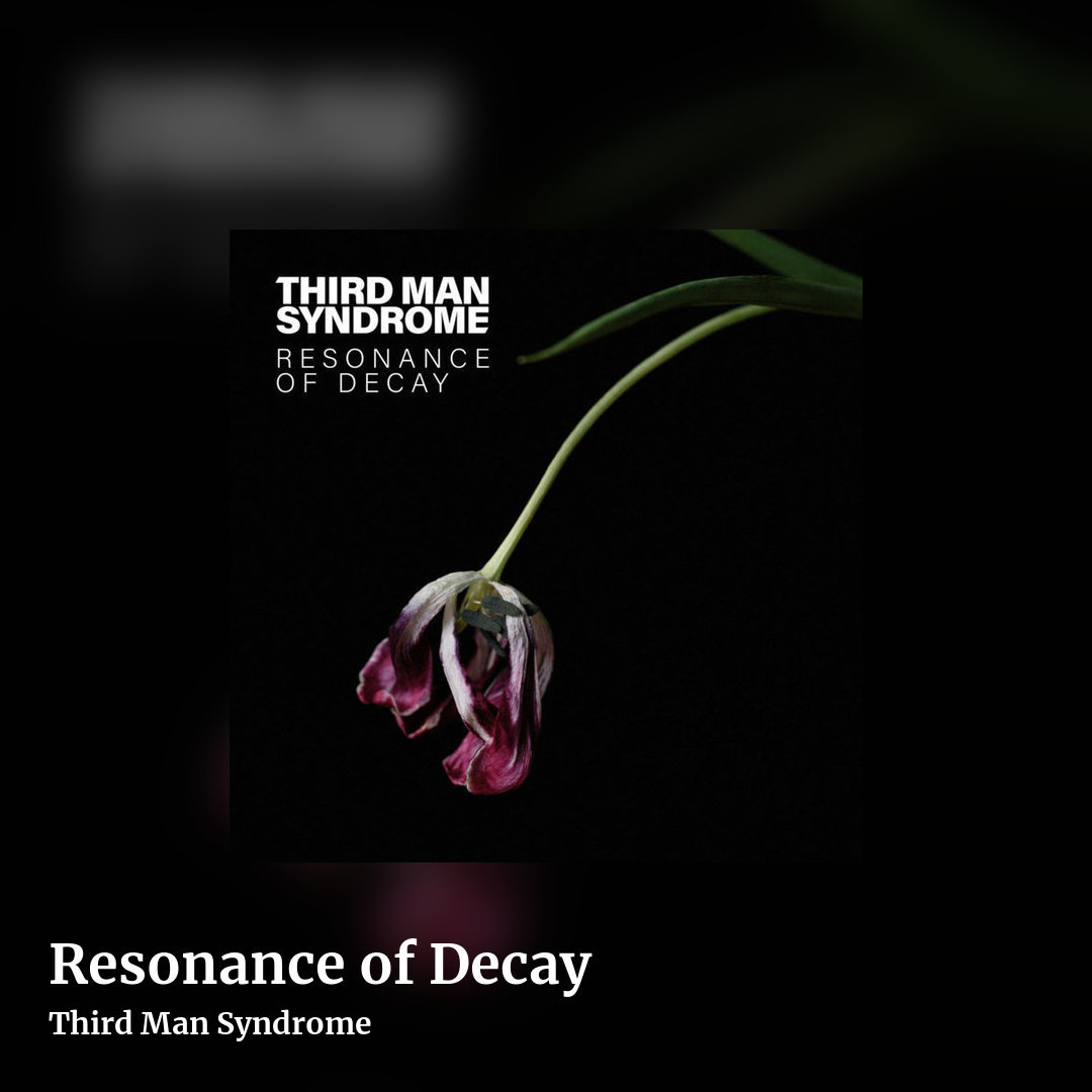 Resonance of Decay by Third Man Syndrome, square clean share image