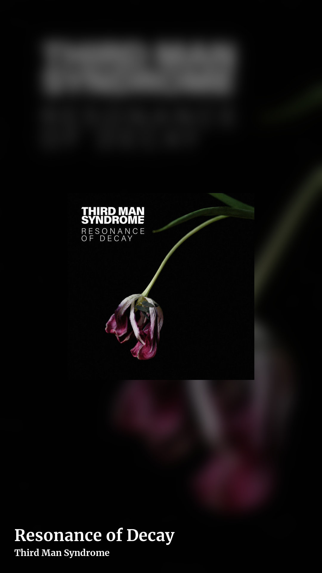 Resonance of Decay by Third Man Syndrome, story clean share image