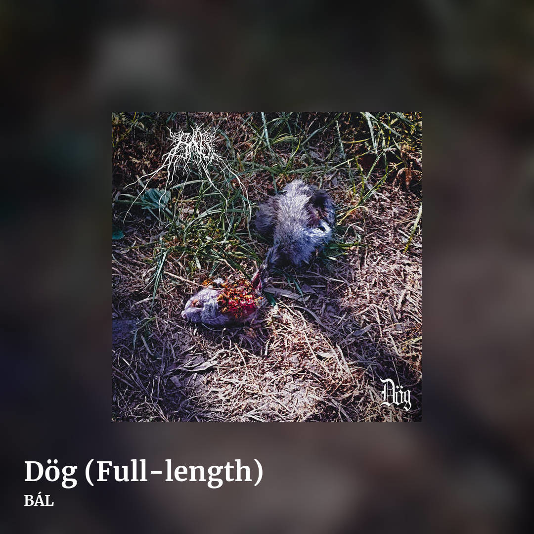 Dög (Full-length) by BÁL, square clean share image