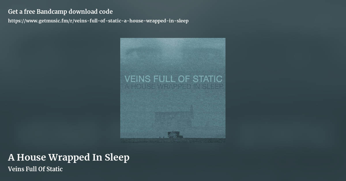 A House Wrapped In Sleep by Veins Full Of Static, landscape promo share image