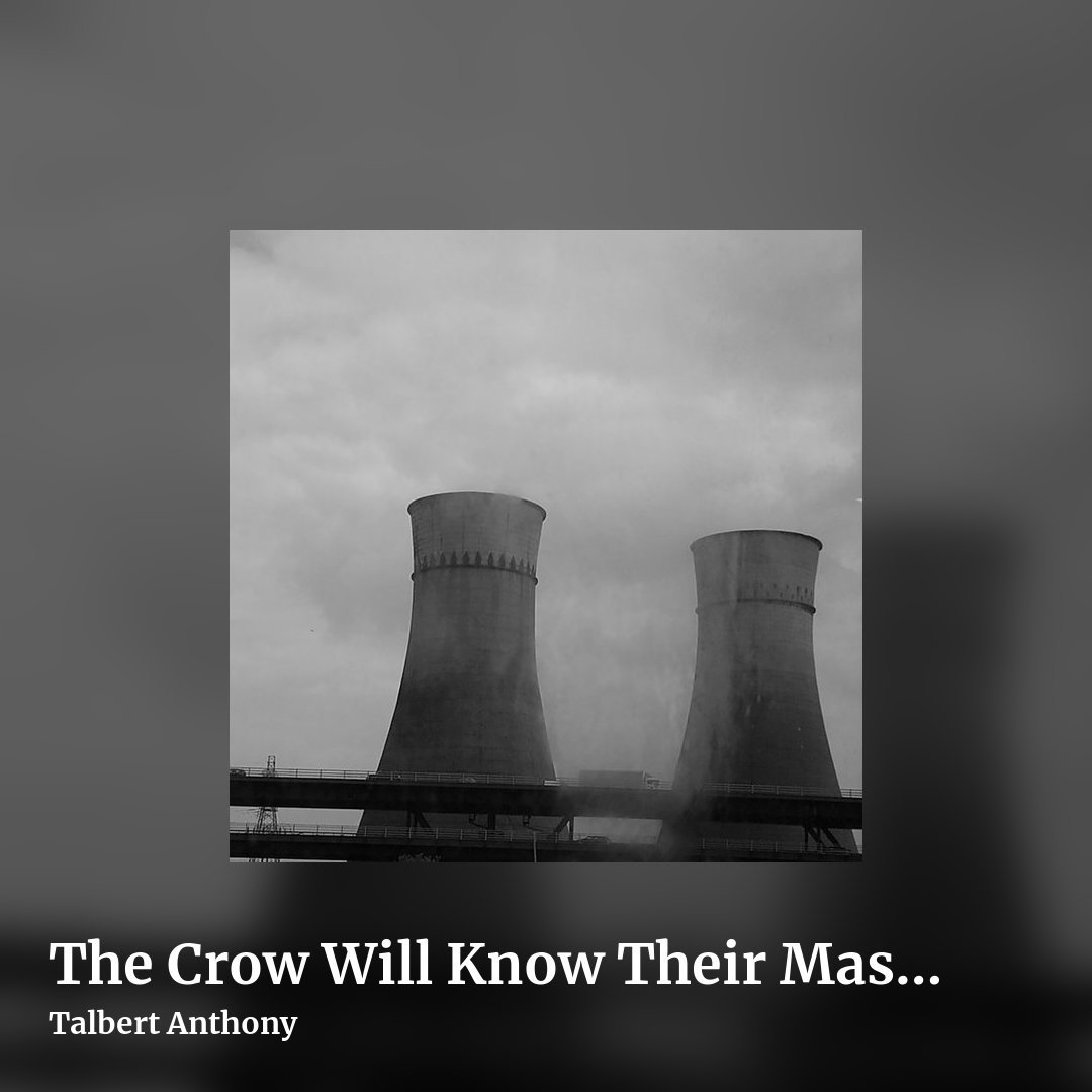 The Crow Will Know Their Master by Talbert Anthony , square clean share image