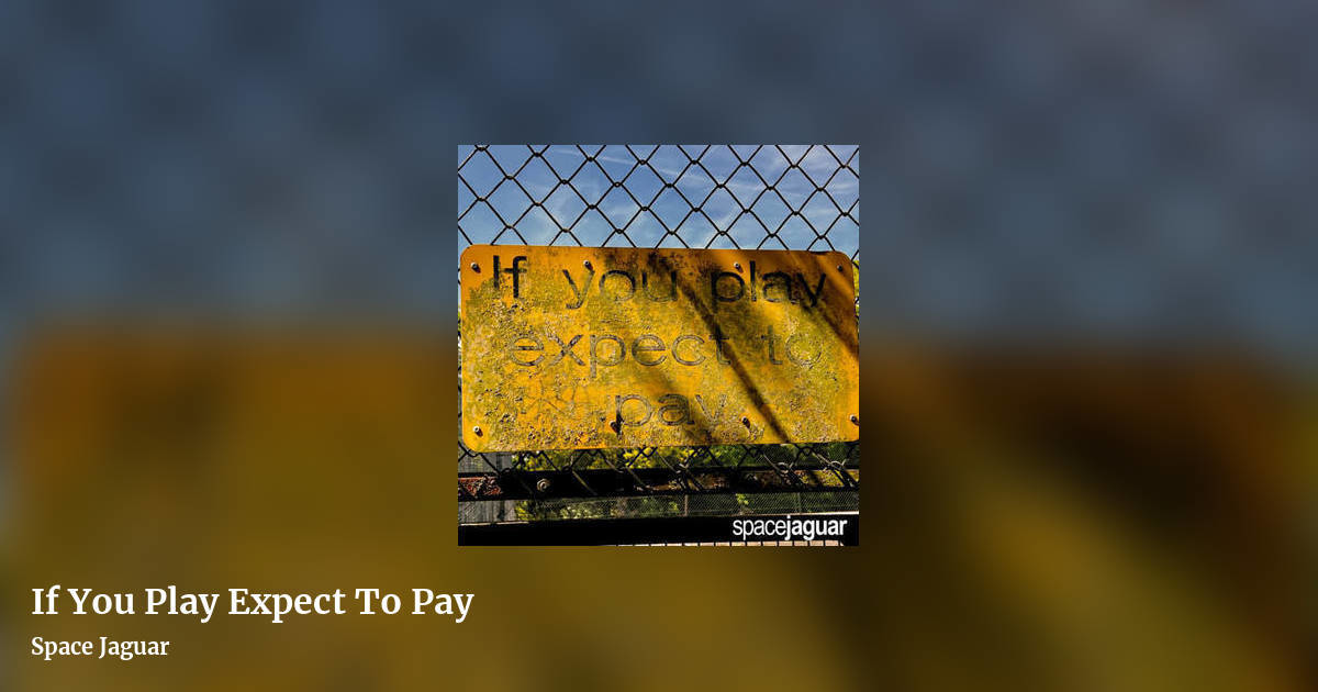 If You Play Expect To Pay by Space Jaguar, landscape clean share image