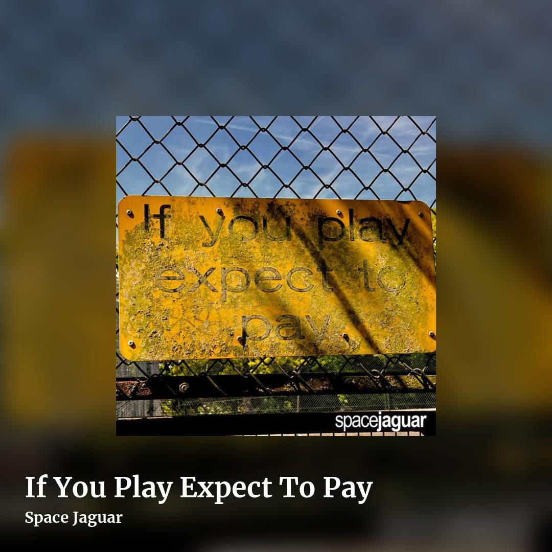 If You Play Expect To Pay by Space Jaguar, square clean share image