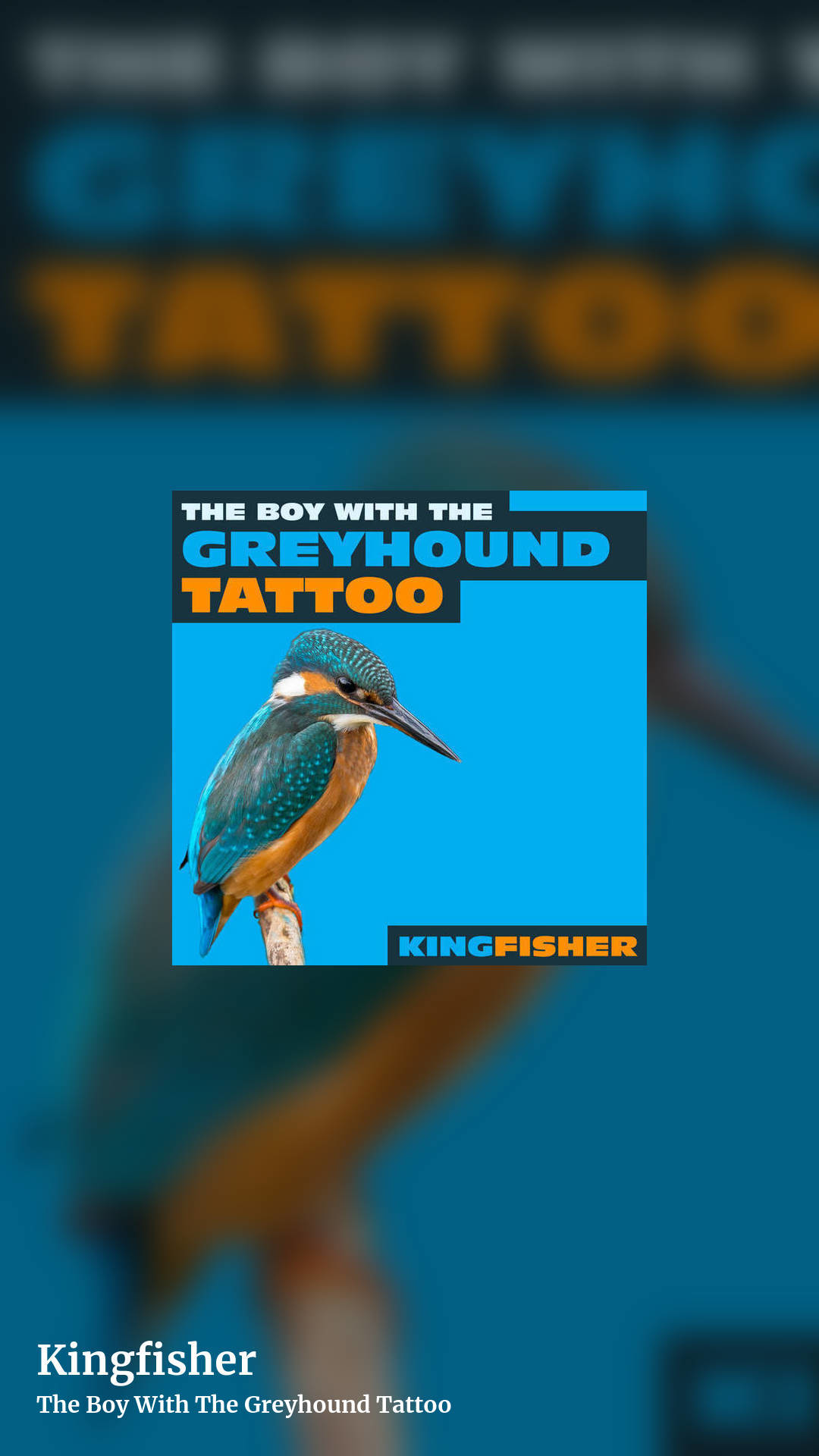 Kingfisher by The Boy With The Greyhound Tattoo, story clean share image