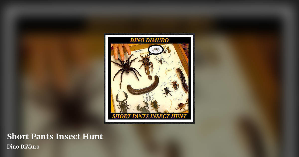 Short Pants Insect Hunt by Dino DiMuro, landscape clean share image