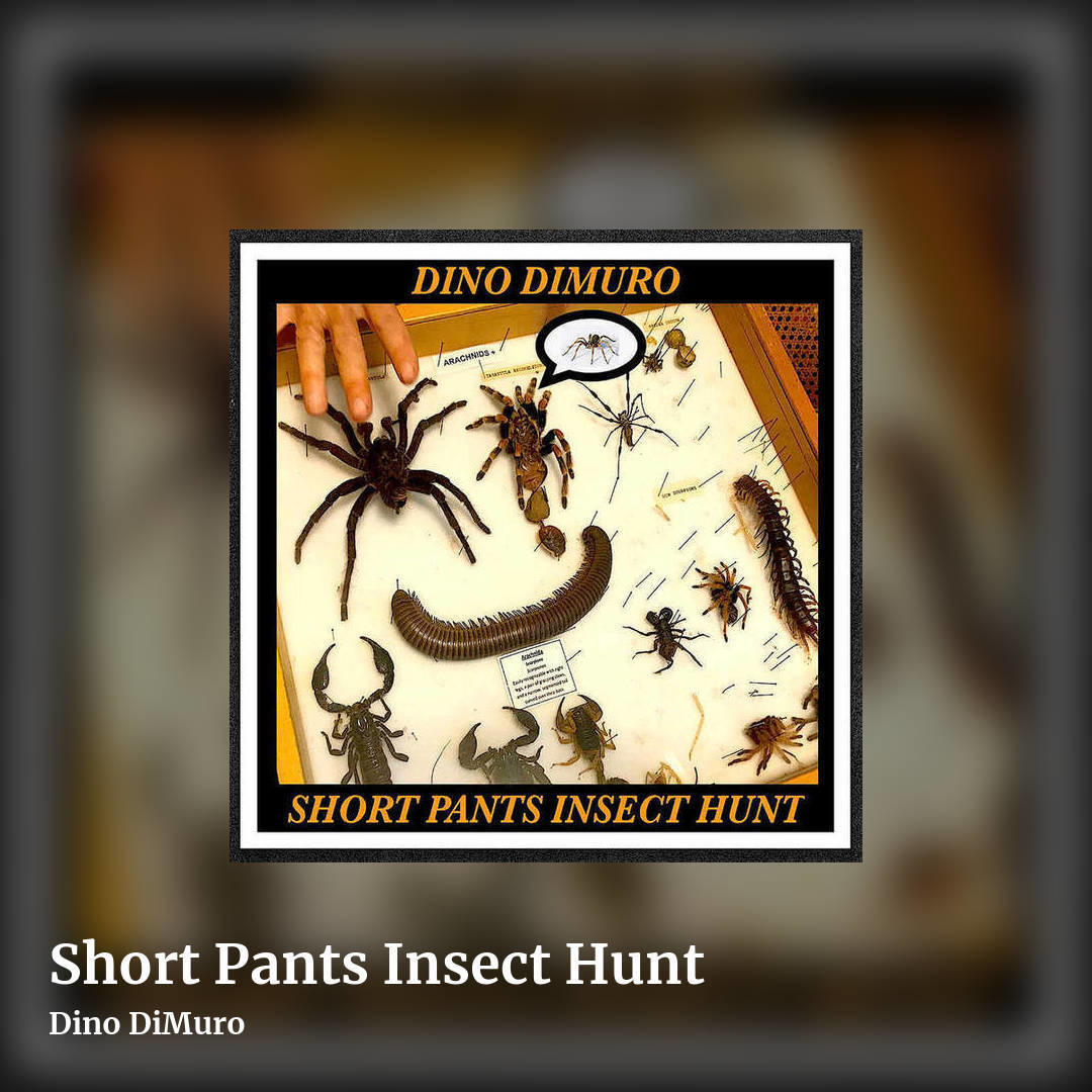 Short Pants Insect Hunt by Dino DiMuro, square clean share image