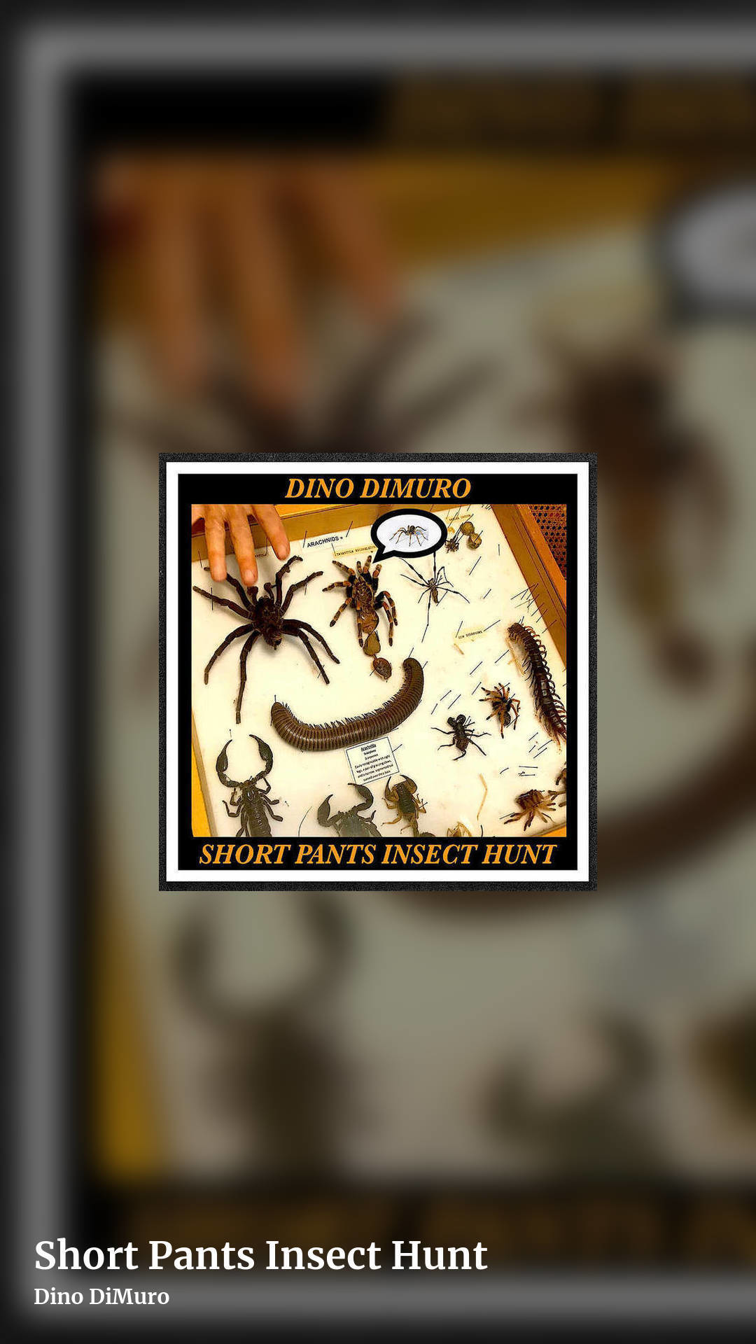 Short Pants Insect Hunt by Dino DiMuro, story clean share image