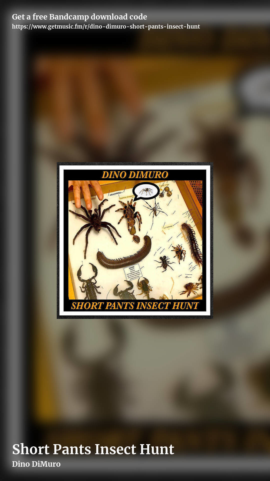 Short Pants Insect Hunt by Dino DiMuro, story promo share image