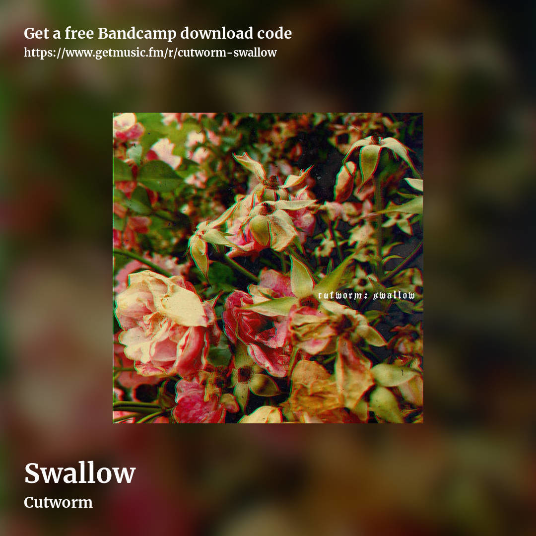 Swallow by Cutworm, square promo share image