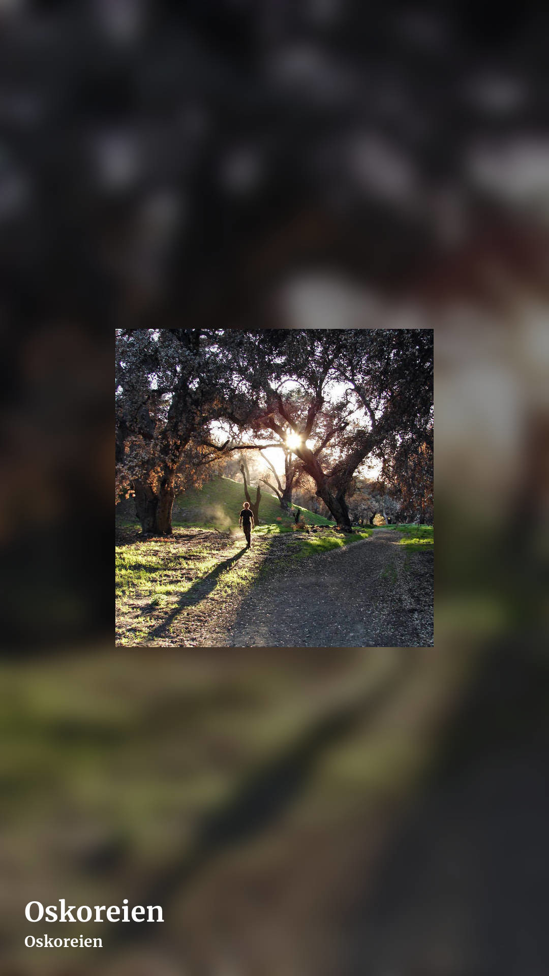 Oskoreien by Oskoreien, story clean share image