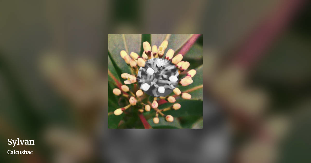 Sylvan by Calcushac, landscape clean share image