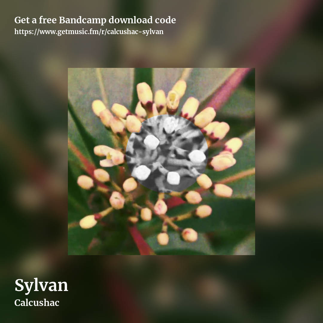 Sylvan by Calcushac, square promo share image