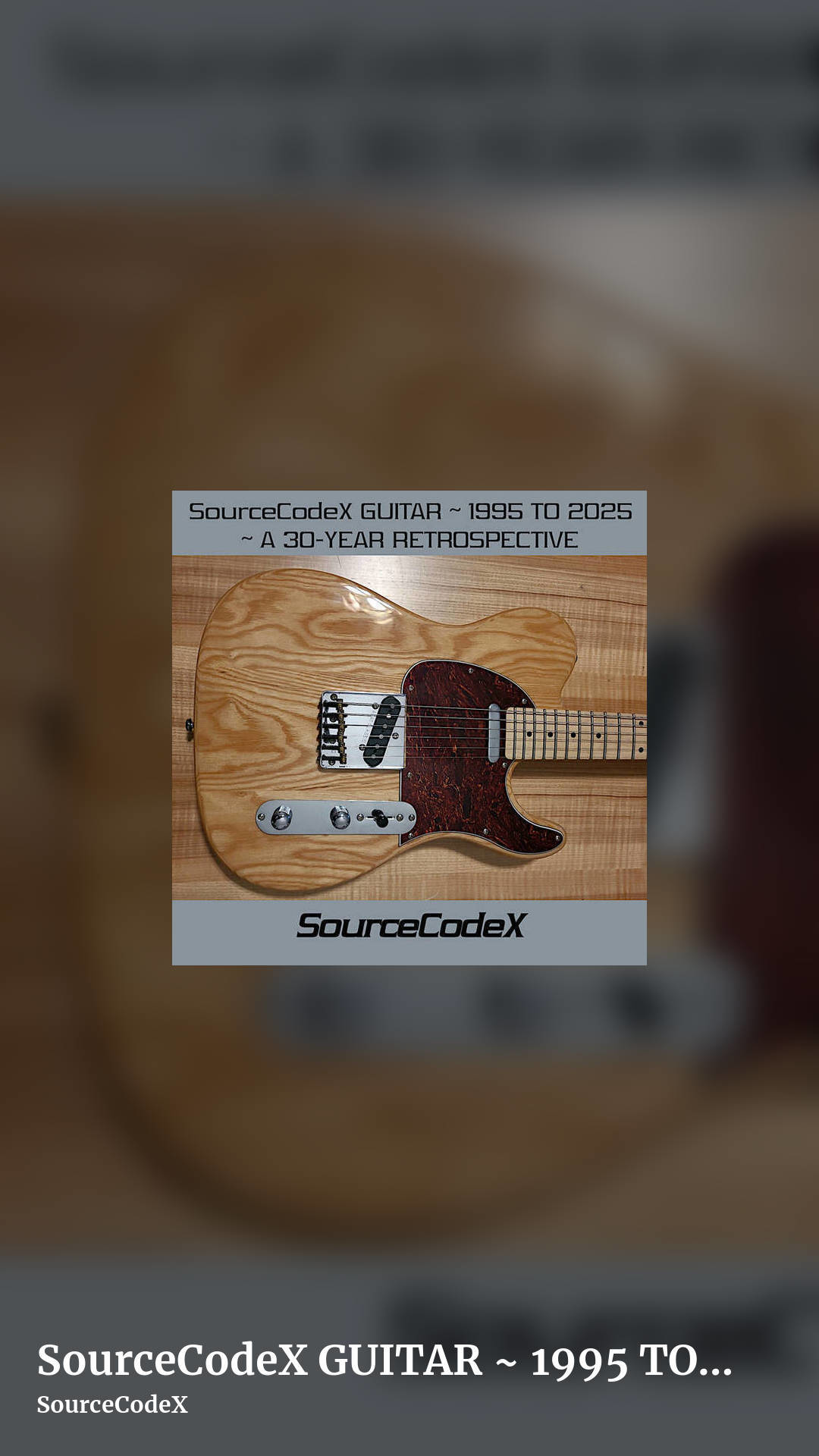 SourceCodeX GUITAR ~ 1995 TO 2025 ~ A 30-YEAR RETROSPECTIVE by SourceCodeX, story clean share image