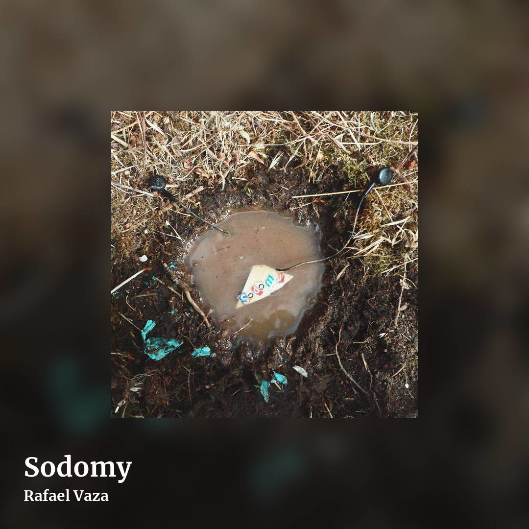 Sodomy by Rafael Vaza, square clean share image