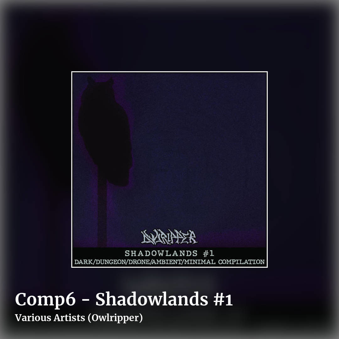 Comp6 - Shadowlands #1 by Various Artists (Owlripper), square clean share image