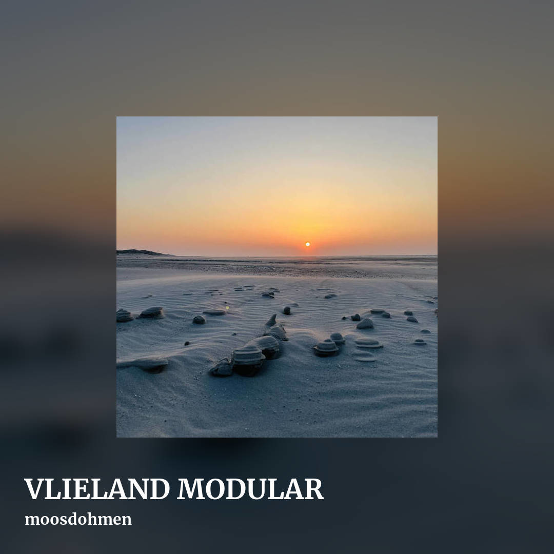 VLIELAND MODULAR by moosdohmen, square clean share image