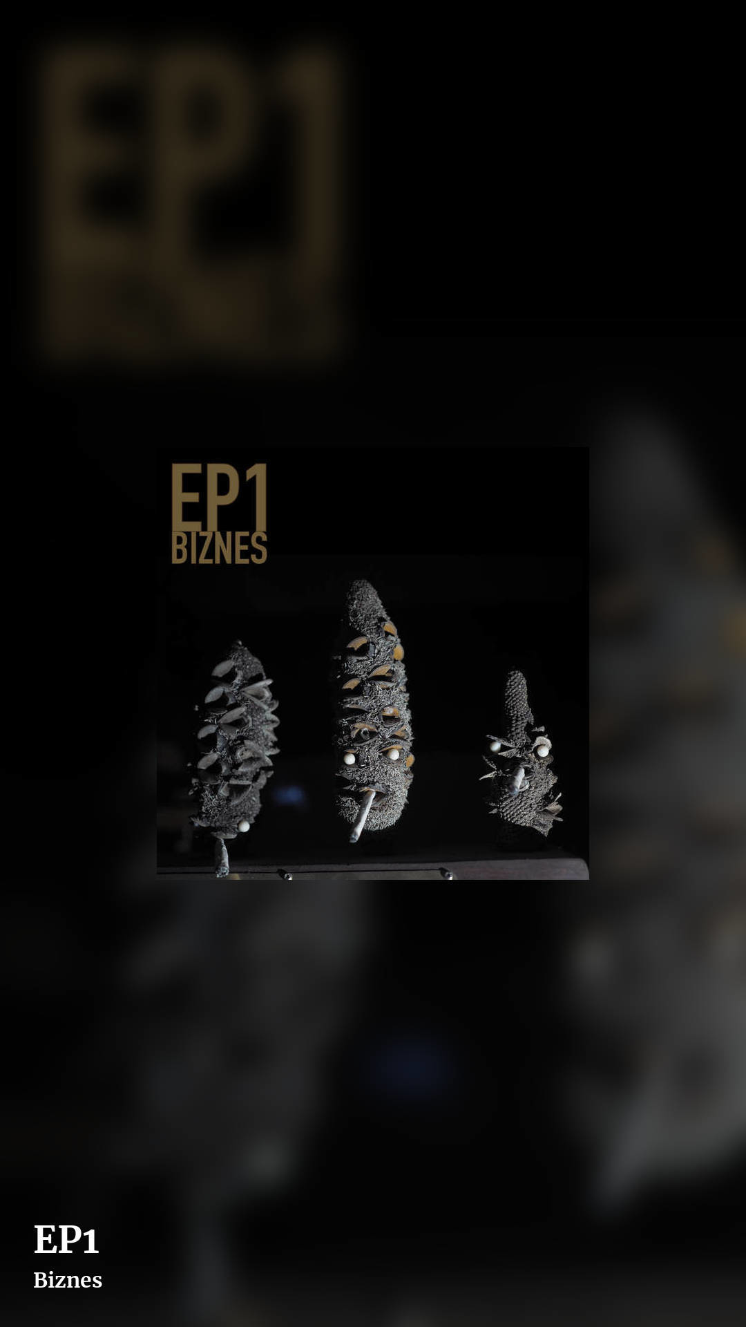 EP1 by Biznes, story clean share image